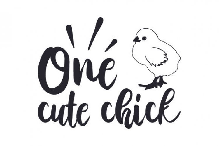 Download One Cute Chick - Free and Premium SVG Cut Files