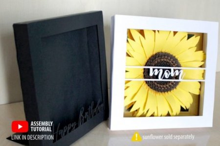 3D Shadow Box Frame Template